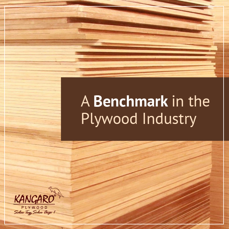 Best Plywood Manufacturers